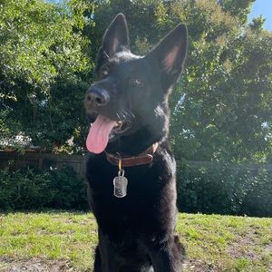 Meet your Posher, Allison